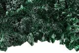 Silky, Fibrous Malachite Cluster - Congo #175364-2